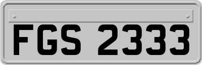 FGS2333