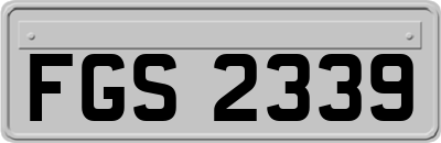 FGS2339