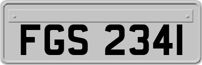 FGS2341