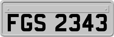 FGS2343