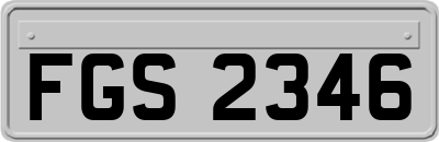 FGS2346