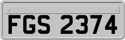 FGS2374
