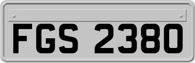 FGS2380
