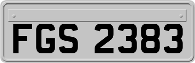 FGS2383