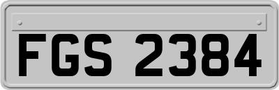 FGS2384