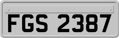 FGS2387