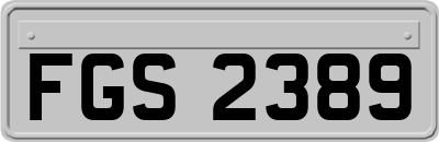 FGS2389