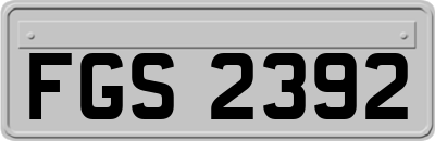 FGS2392