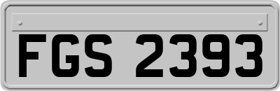 FGS2393