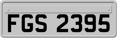 FGS2395