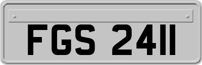 FGS2411