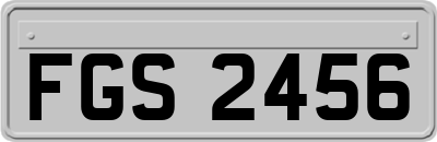 FGS2456