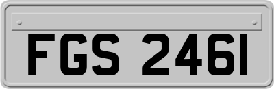 FGS2461