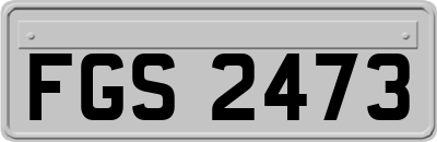 FGS2473