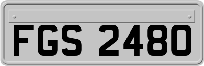 FGS2480