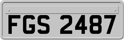 FGS2487