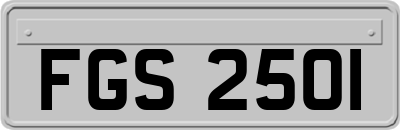 FGS2501