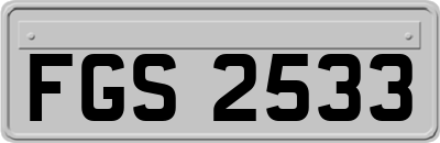 FGS2533
