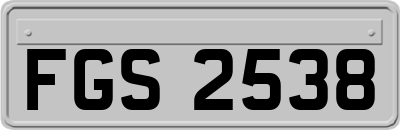 FGS2538