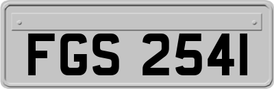 FGS2541