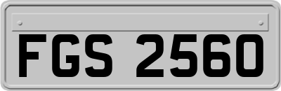 FGS2560
