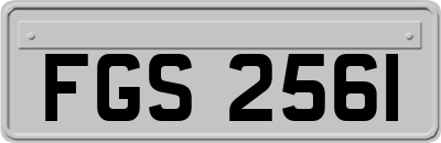 FGS2561
