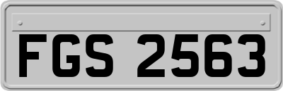FGS2563