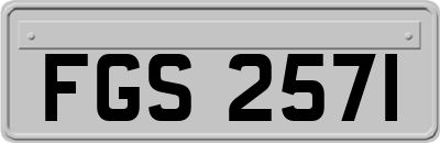 FGS2571