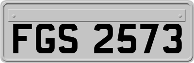 FGS2573