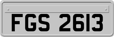 FGS2613