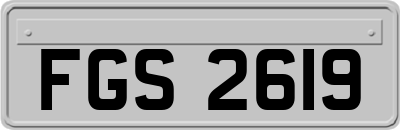 FGS2619