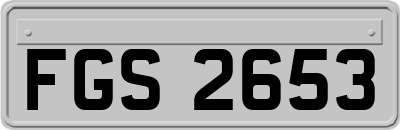 FGS2653