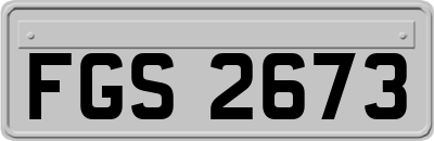 FGS2673