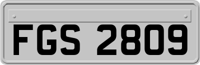 FGS2809