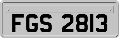 FGS2813