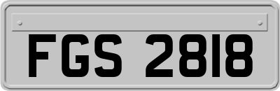 FGS2818