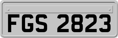 FGS2823