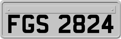 FGS2824