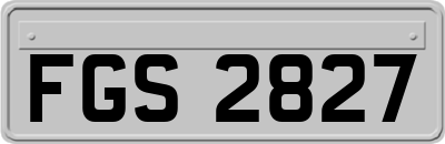 FGS2827