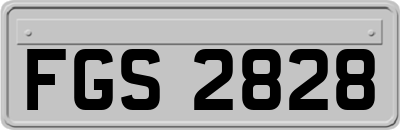 FGS2828