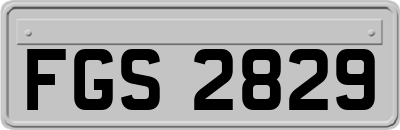 FGS2829