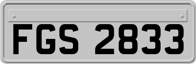 FGS2833