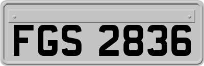 FGS2836