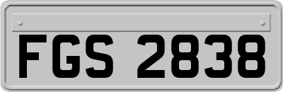 FGS2838