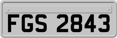 FGS2843