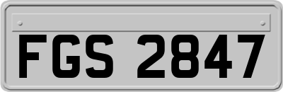FGS2847
