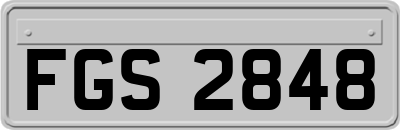 FGS2848