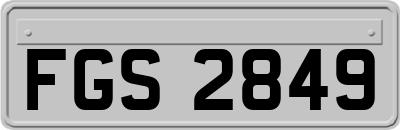 FGS2849