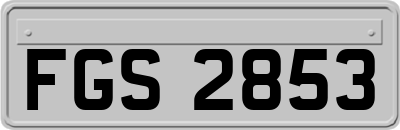 FGS2853