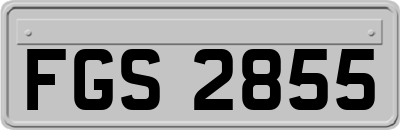FGS2855